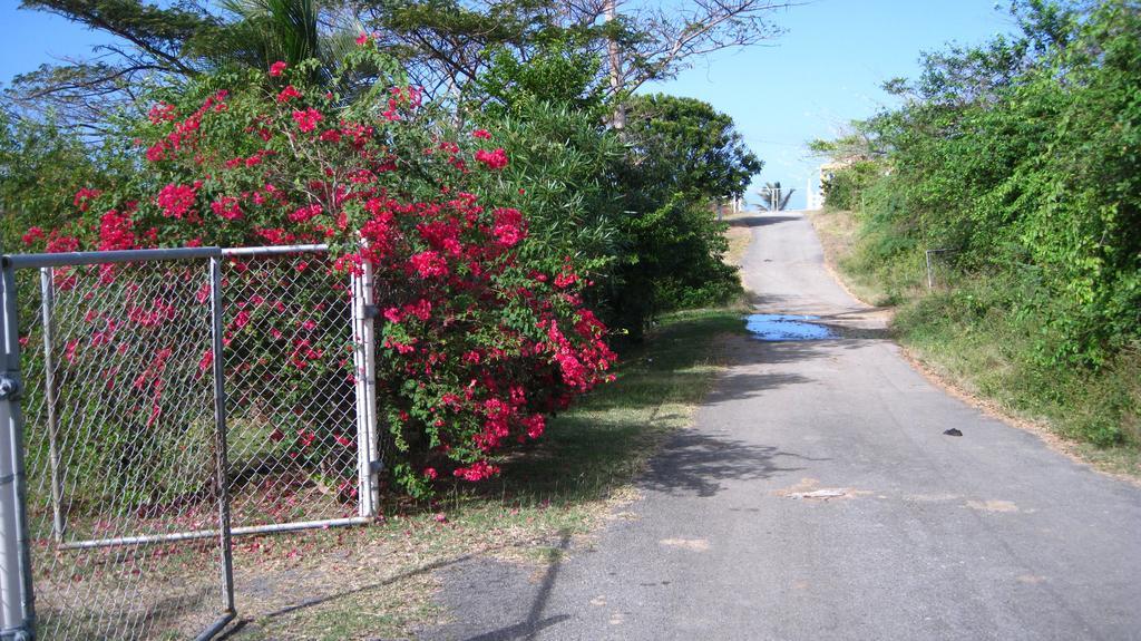 Tranquility By The Sea Villa Vieques Bagian luar foto