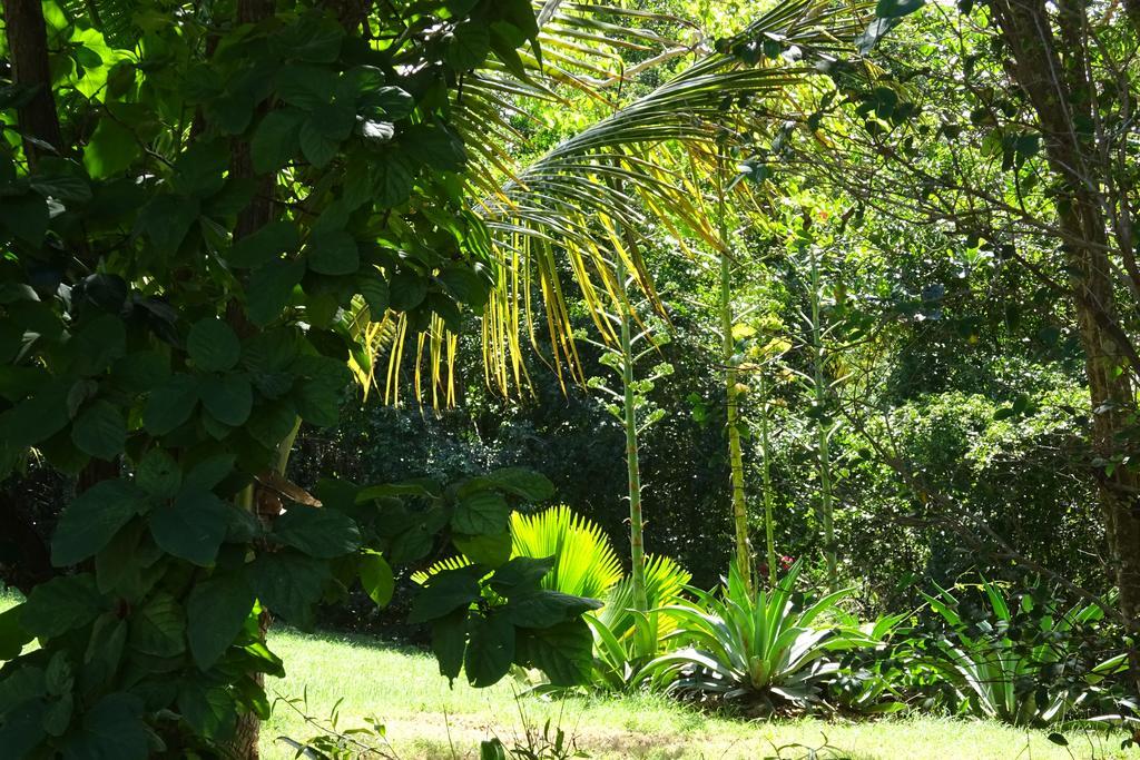 Tranquility By The Sea Villa Vieques Ruang foto