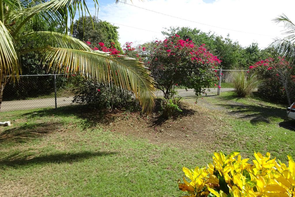 Tranquility By The Sea Villa Vieques Ruang foto