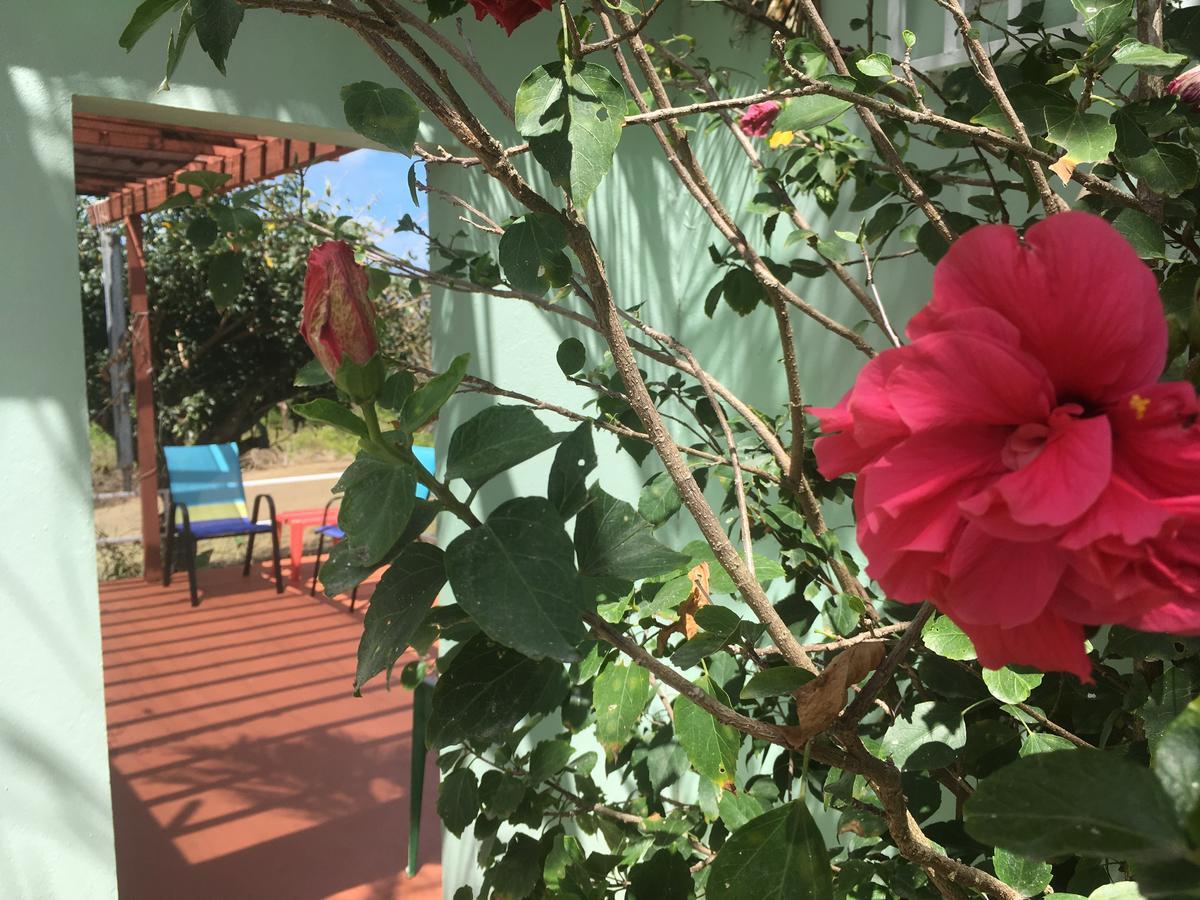 Tranquility By The Sea Villa Vieques Bagian luar foto