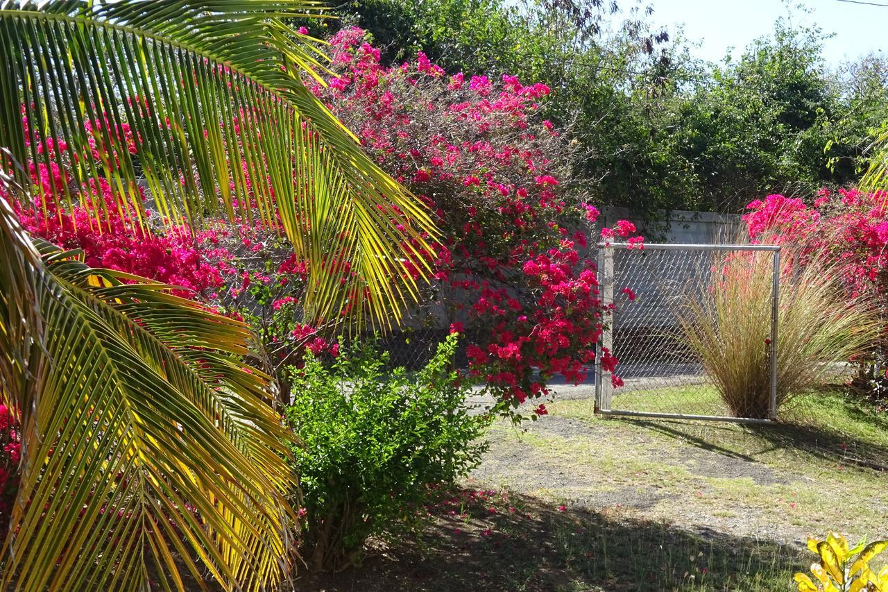 Tranquility By The Sea Villa Vieques Bagian luar foto