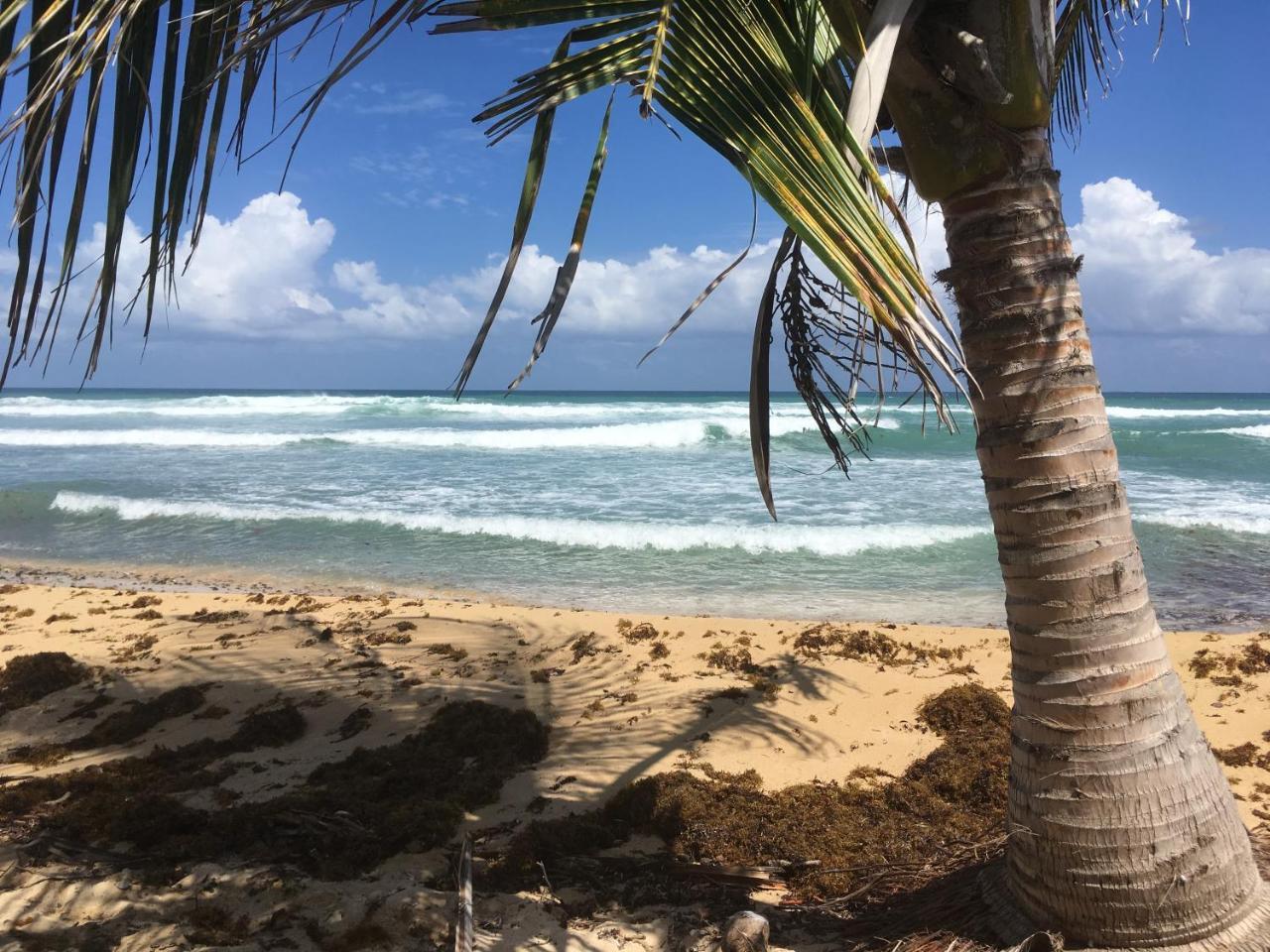 Tranquility By The Sea Villa Vieques Bagian luar foto