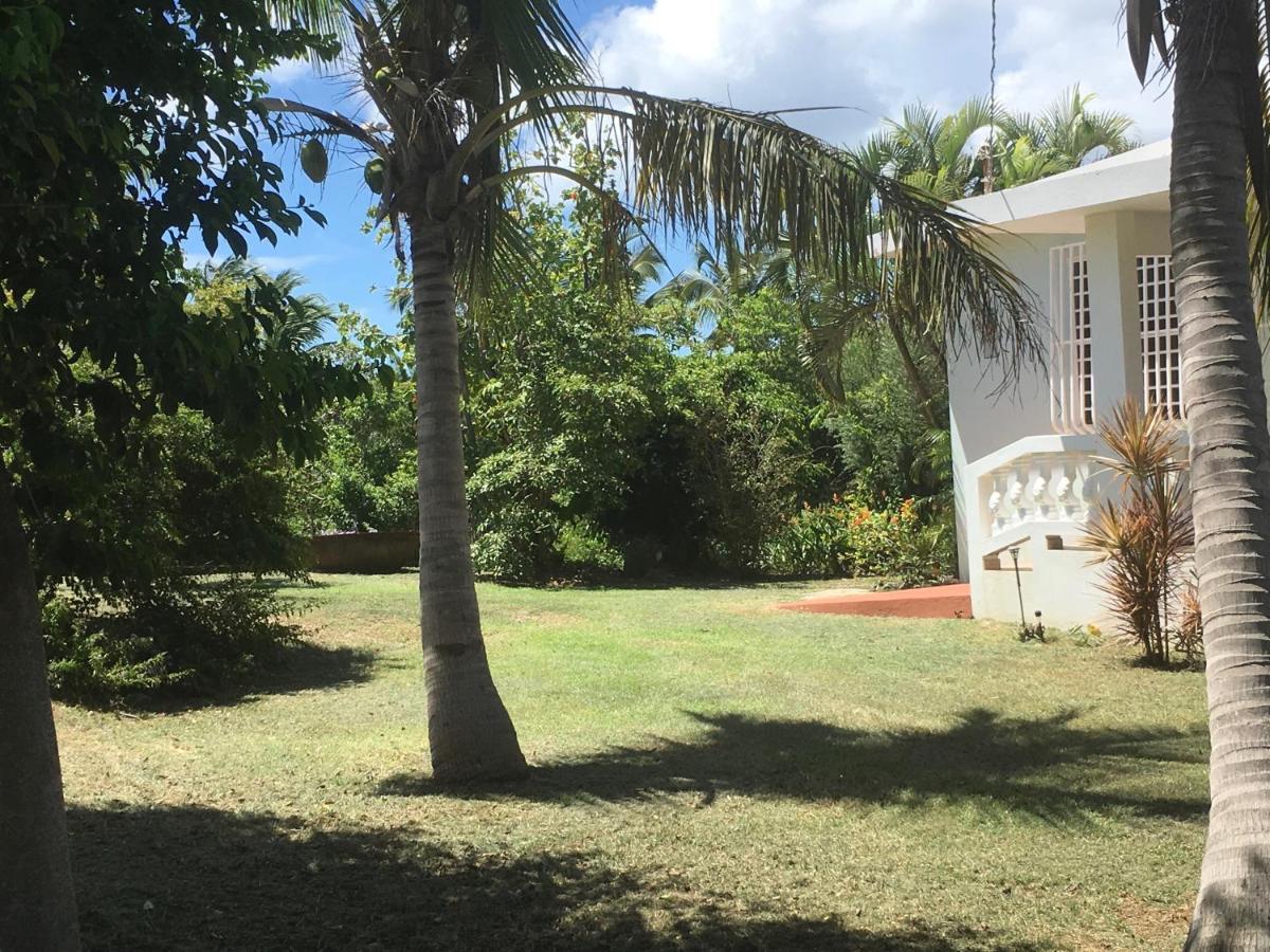 Tranquility By The Sea Villa Vieques Bagian luar foto